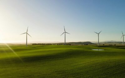 How Wind Energy Powers Homes and Reduces Carbon Emissions