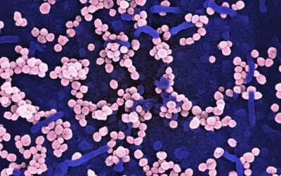 The Role of Genetics in Modern Medical Research