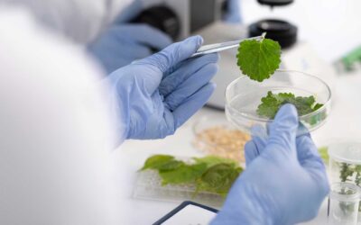 Nutrition & Food Science